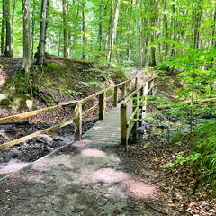 24-07-02 13-04-19 0114